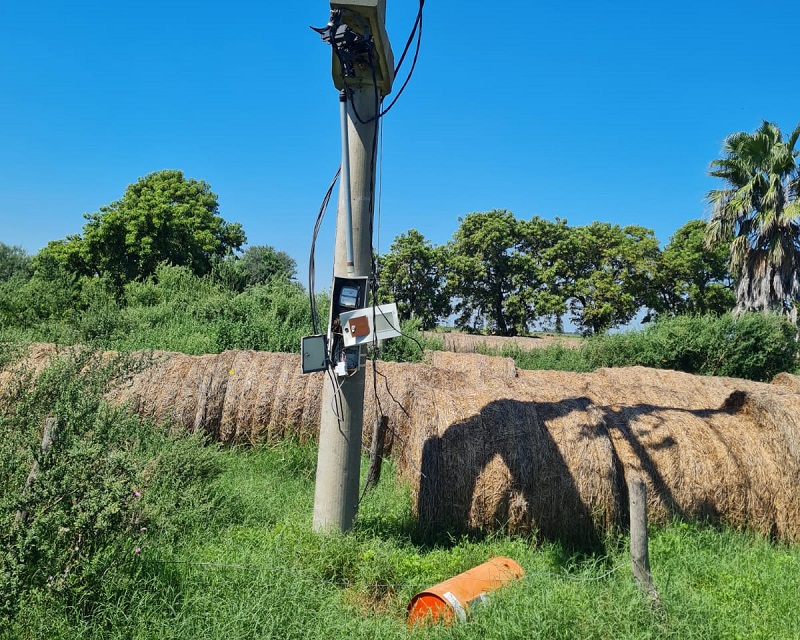 Robo de transformadores en zona rural de Colonia Beiro